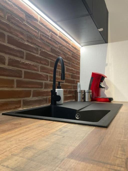 Appartement Centre Historique Albi Dış mekan fotoğraf
