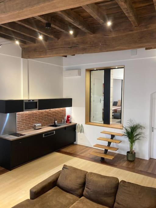 Appartement Centre Historique Albi Dış mekan fotoğraf
