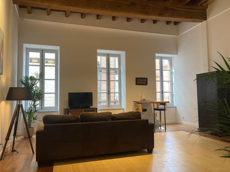 Appartement Centre Historique Albi Dış mekan fotoğraf